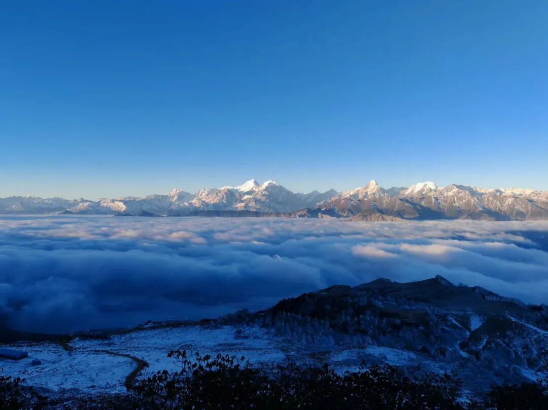 1773294567619643.jpg 640 (5).jpg