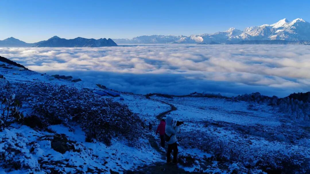 1773294574722261.jpg 640 (4).jpg