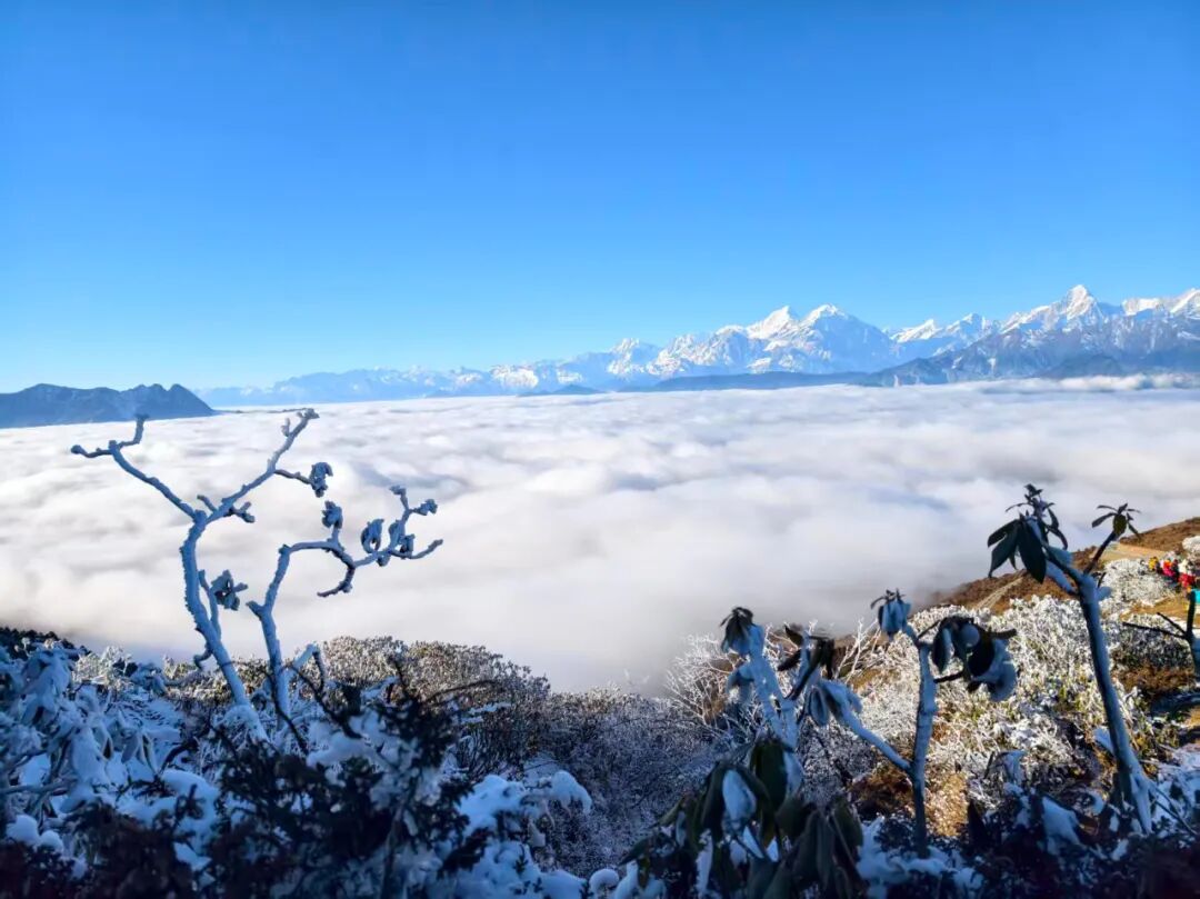 1773294580689388.jpg 640 (3).jpg