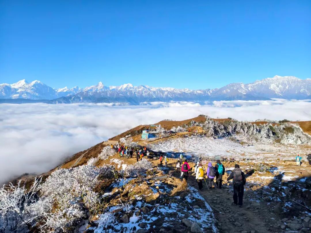 1773294605386058.jpg 640.jpg