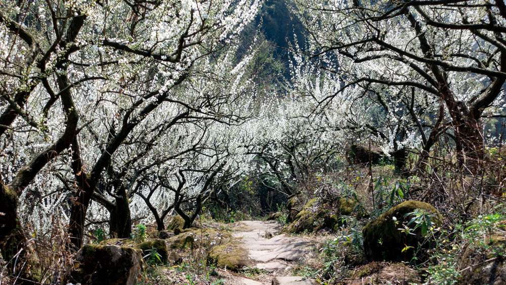 1773454302644647.jpg 1709625029742.jpg