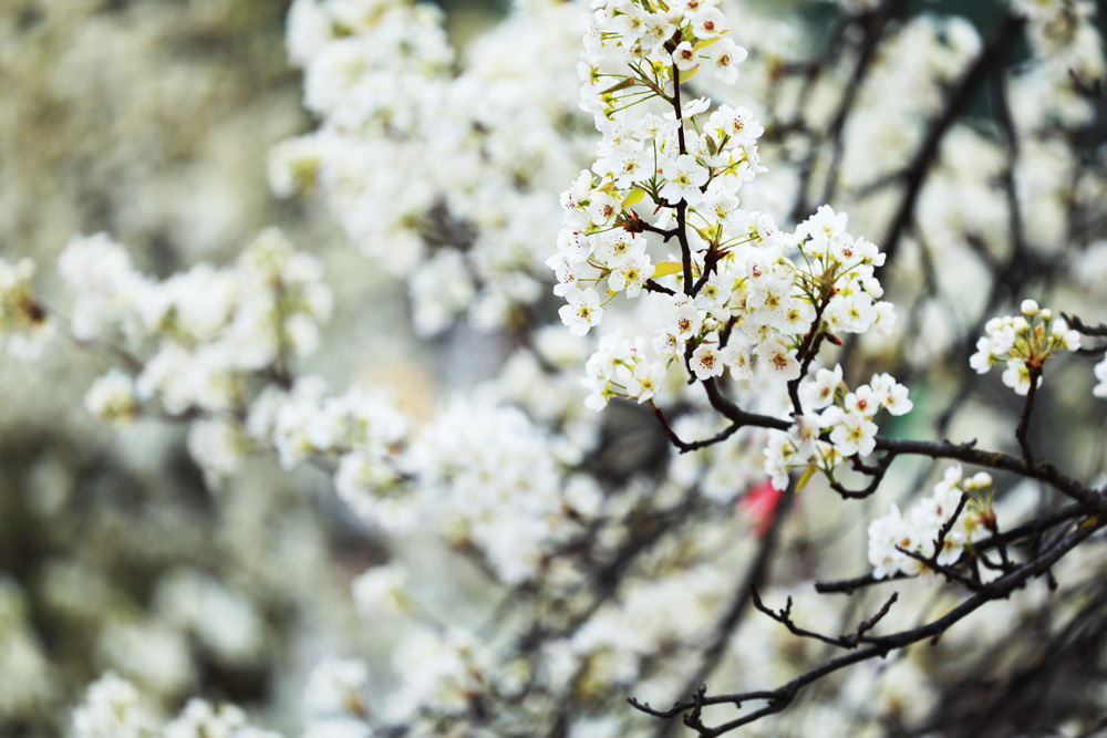 1773550968447438.jpg 微信图片_20260314222204_79_2787.jpg