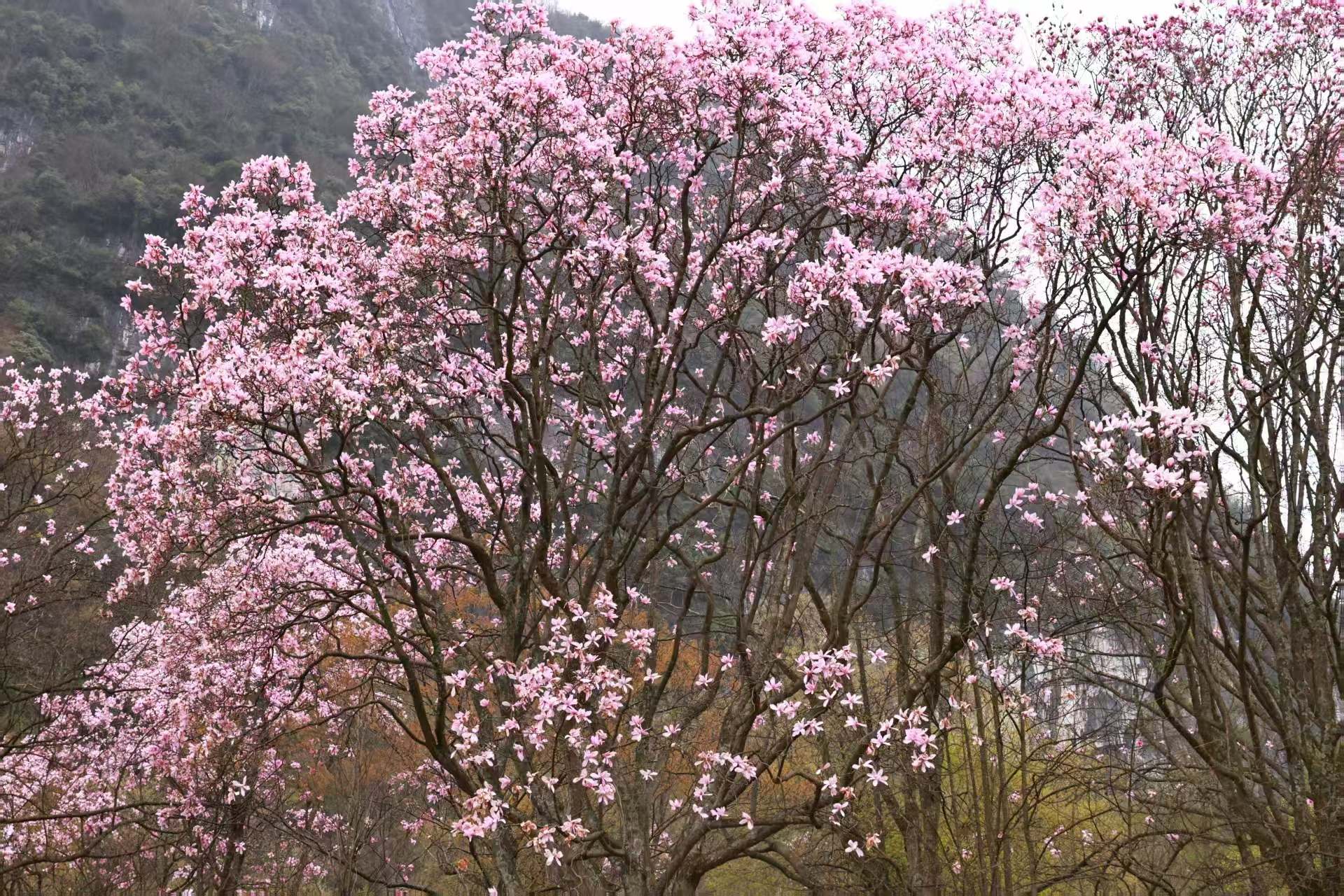 1773623371220130.jpg 微信图片_20260316090328.jpg