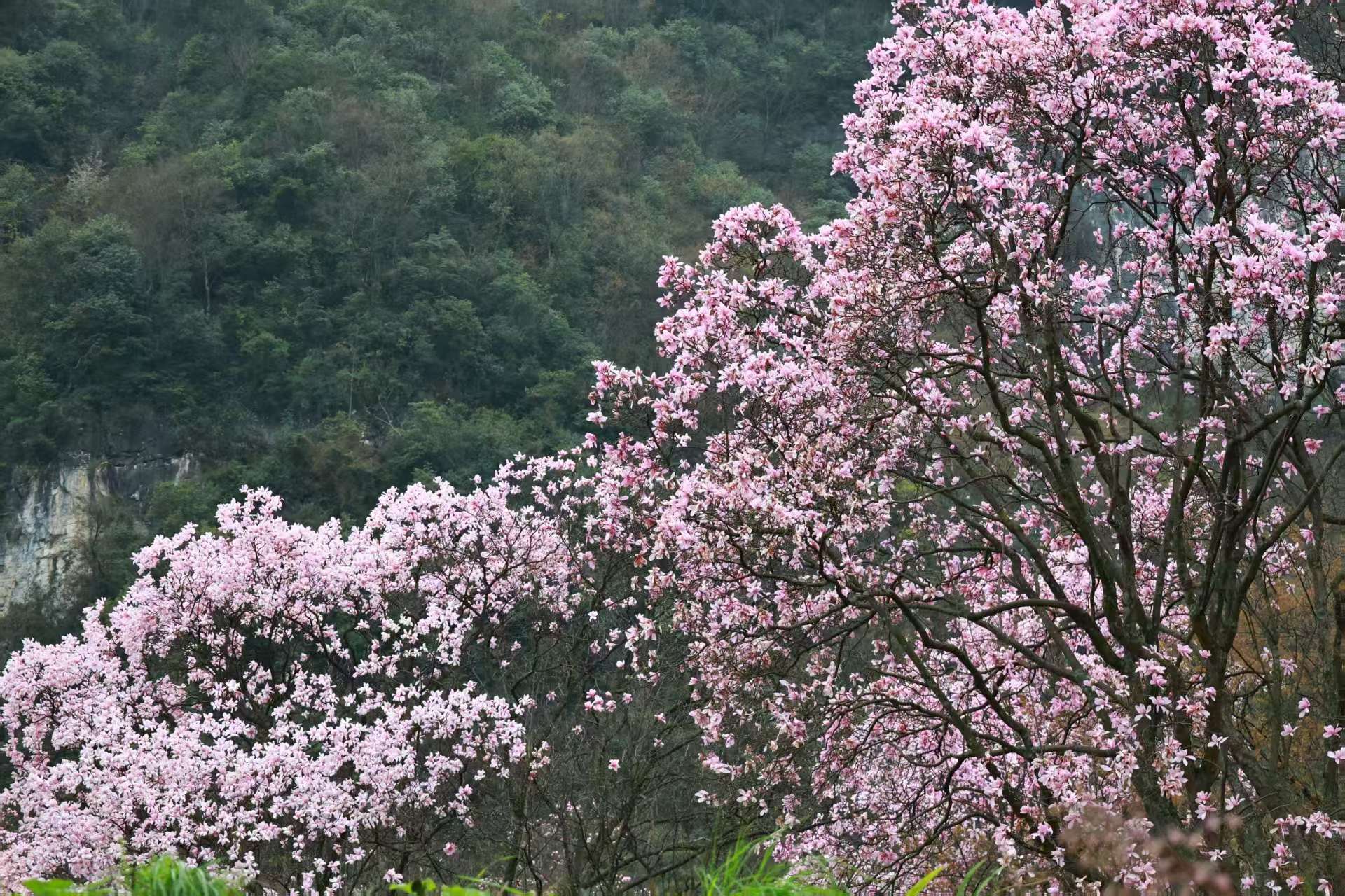 1773623374698401.jpg 微信图片_20260316090333.jpg