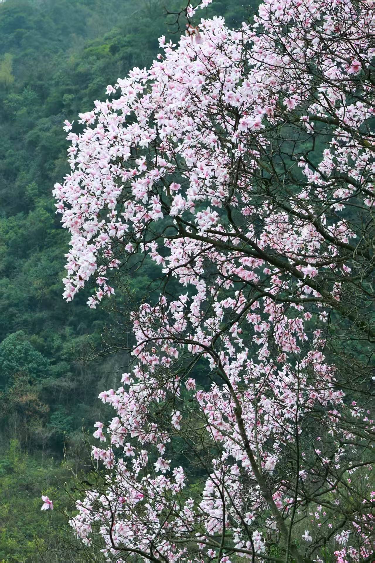 1773623380564801.jpg 微信图片_20260316090326.jpg