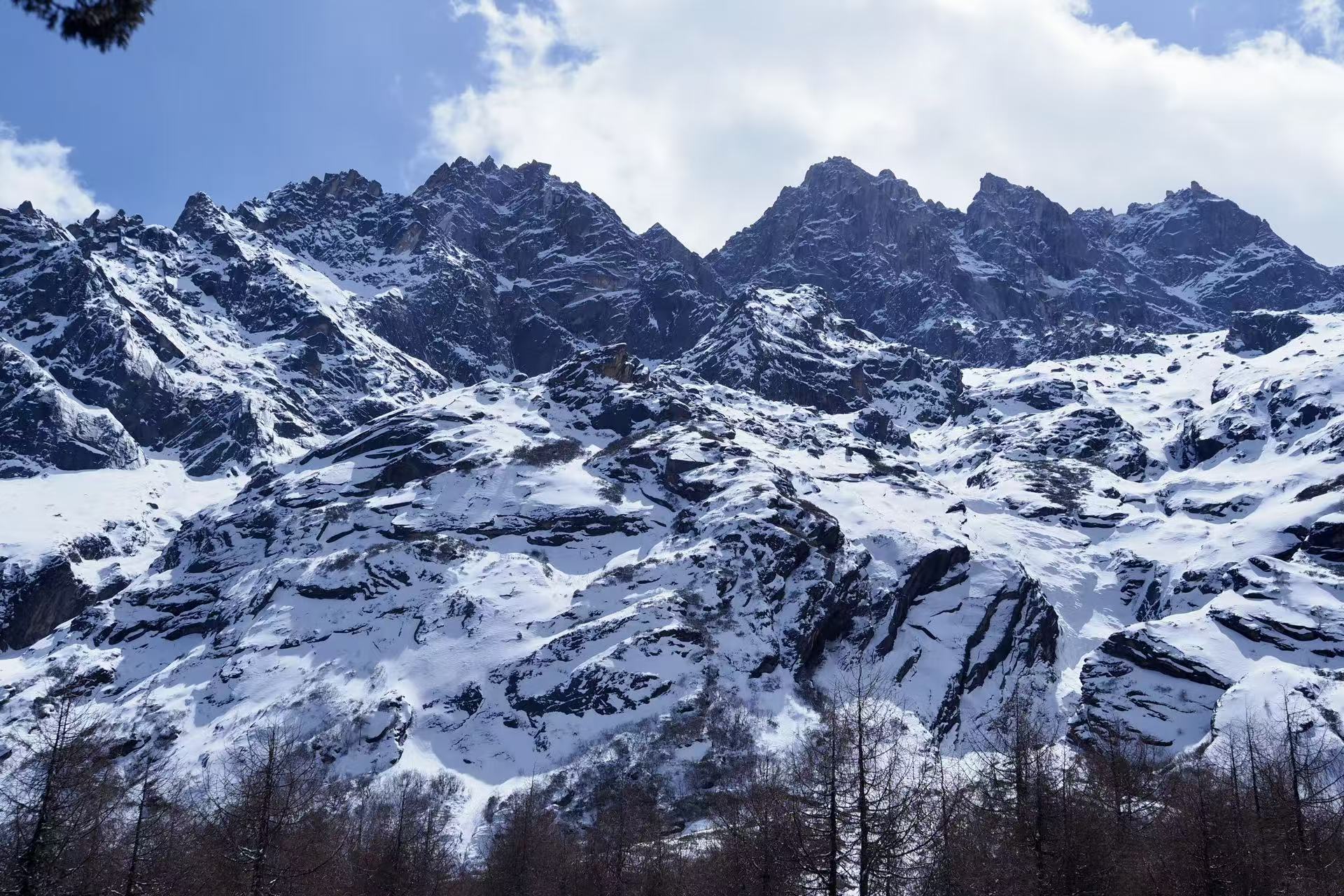 1773644683754002.jpg 微信图片_2026-03-16_150332_733.jpg