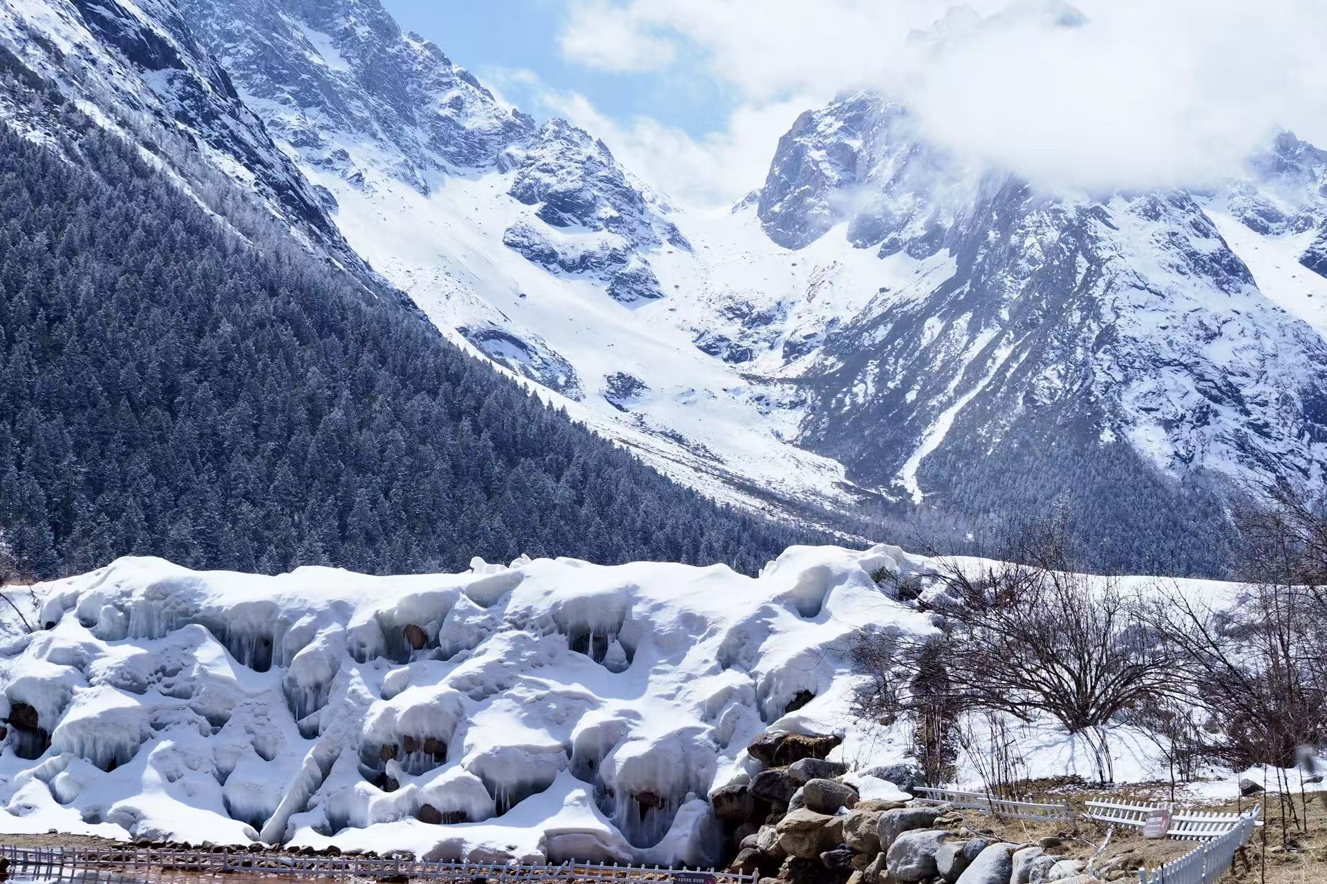 1773644703493476.jpg 微信图片_2026-03-16_150301_459.jpg