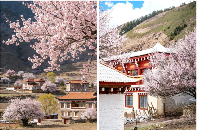 1773738030222876.png image.png