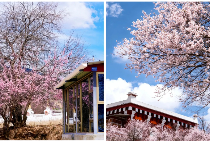 1773738057441770.png image.png