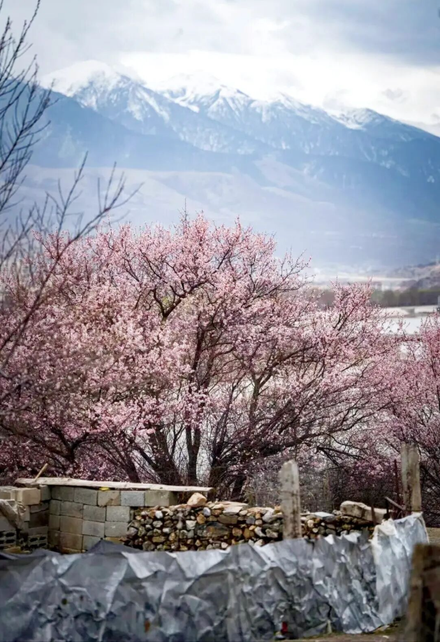 1773738298797665.png image.png