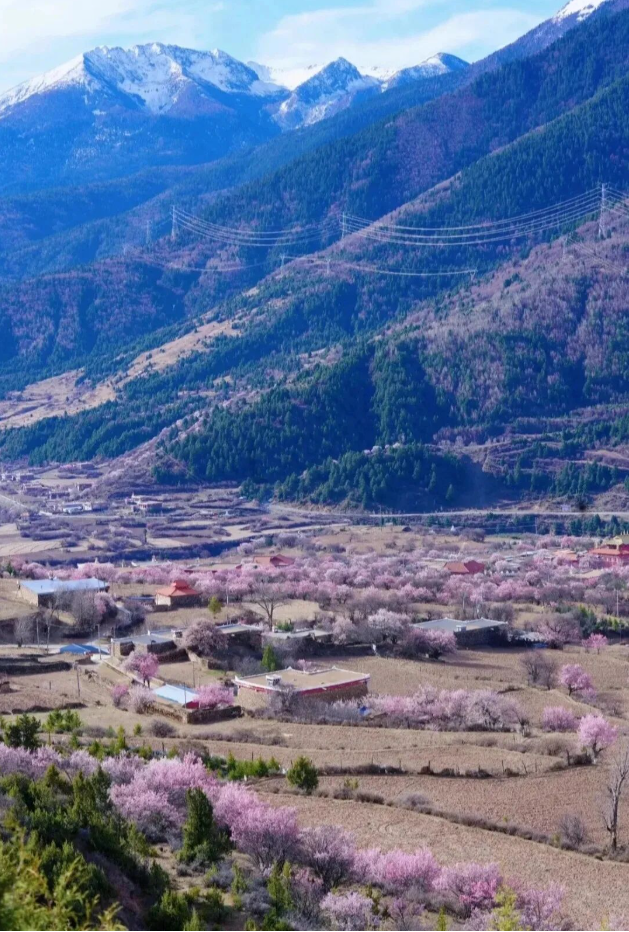 1773738326607264.png image.png