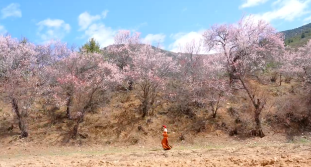 1773738383768333.png image.png