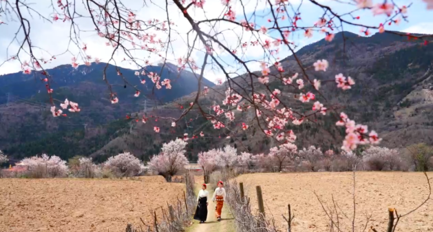 1773738400808100.png image.png