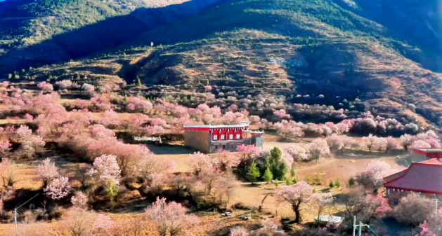 1773738425548461.png image.png