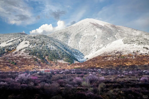 1773738438954018.png image.png