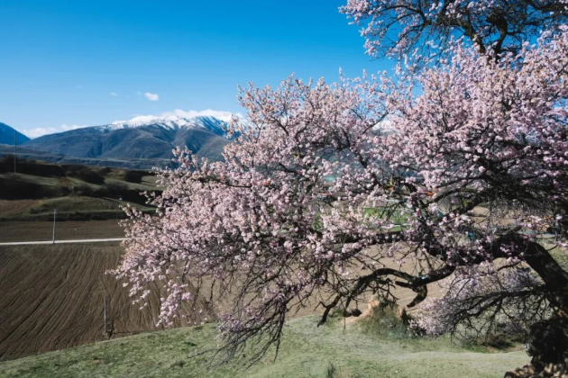 1773738447173249.png image.png