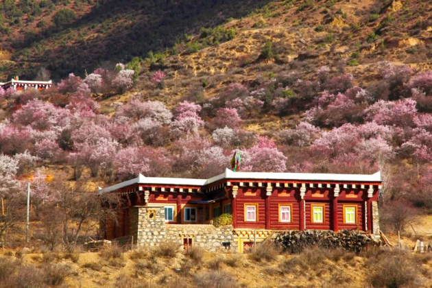 1773738463494942.png image.png