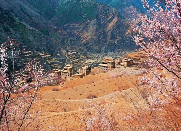 1773738471405024.png image.png