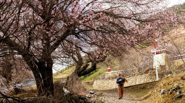 1773738481430946.png image.png