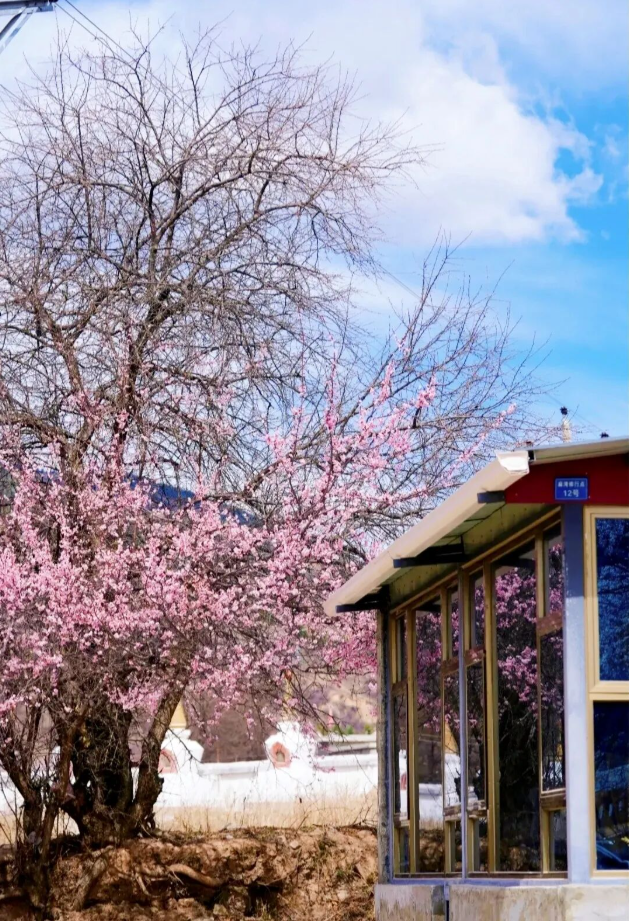 1773738508196996.png image.png