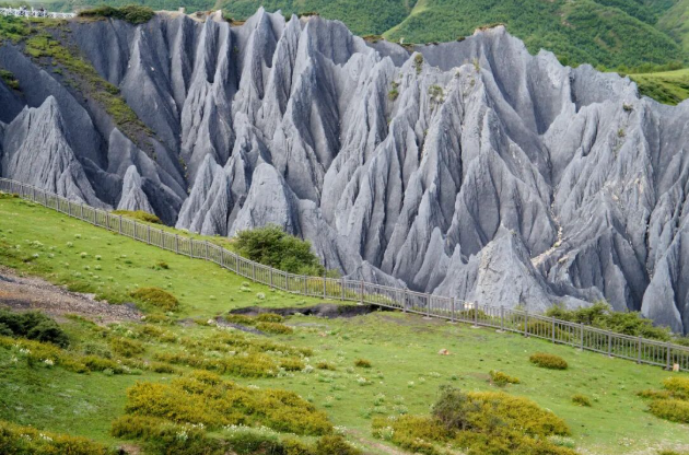 1773738568884573.png image.png