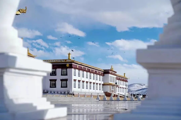 1773738655870202.png image.png