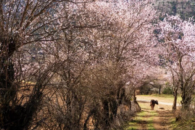 1773798301611589.png 1773738490889534.png