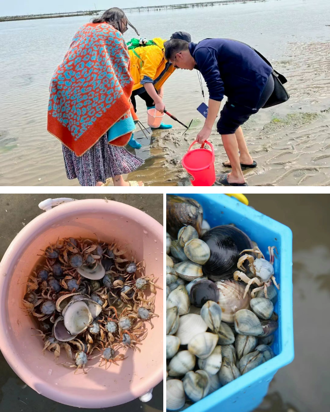 1773804457990704.png ce6b950983627bd9a8da88e898fd14a1.png