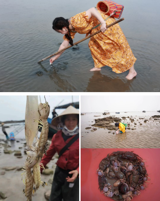 1773804644570746.png dea4c4524545fc19036271c89ca4309f.png