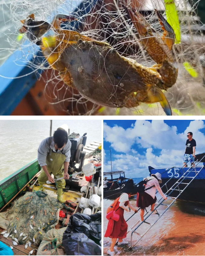 1773804678263641.png 534bac7817c548156f5fcc5289a34b33.png