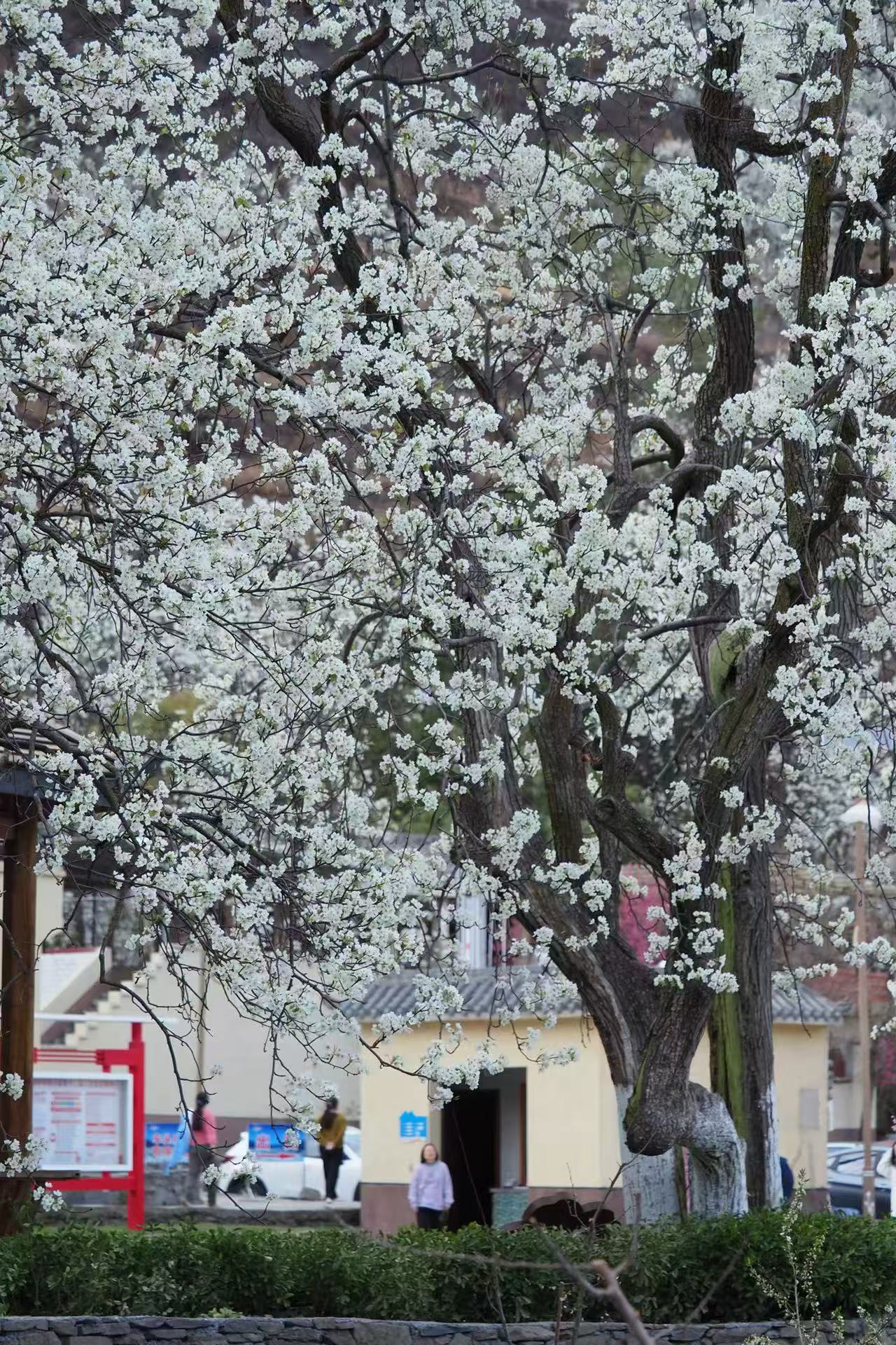 1773884335607614.jpg 微信图片_20260319093733.jpg