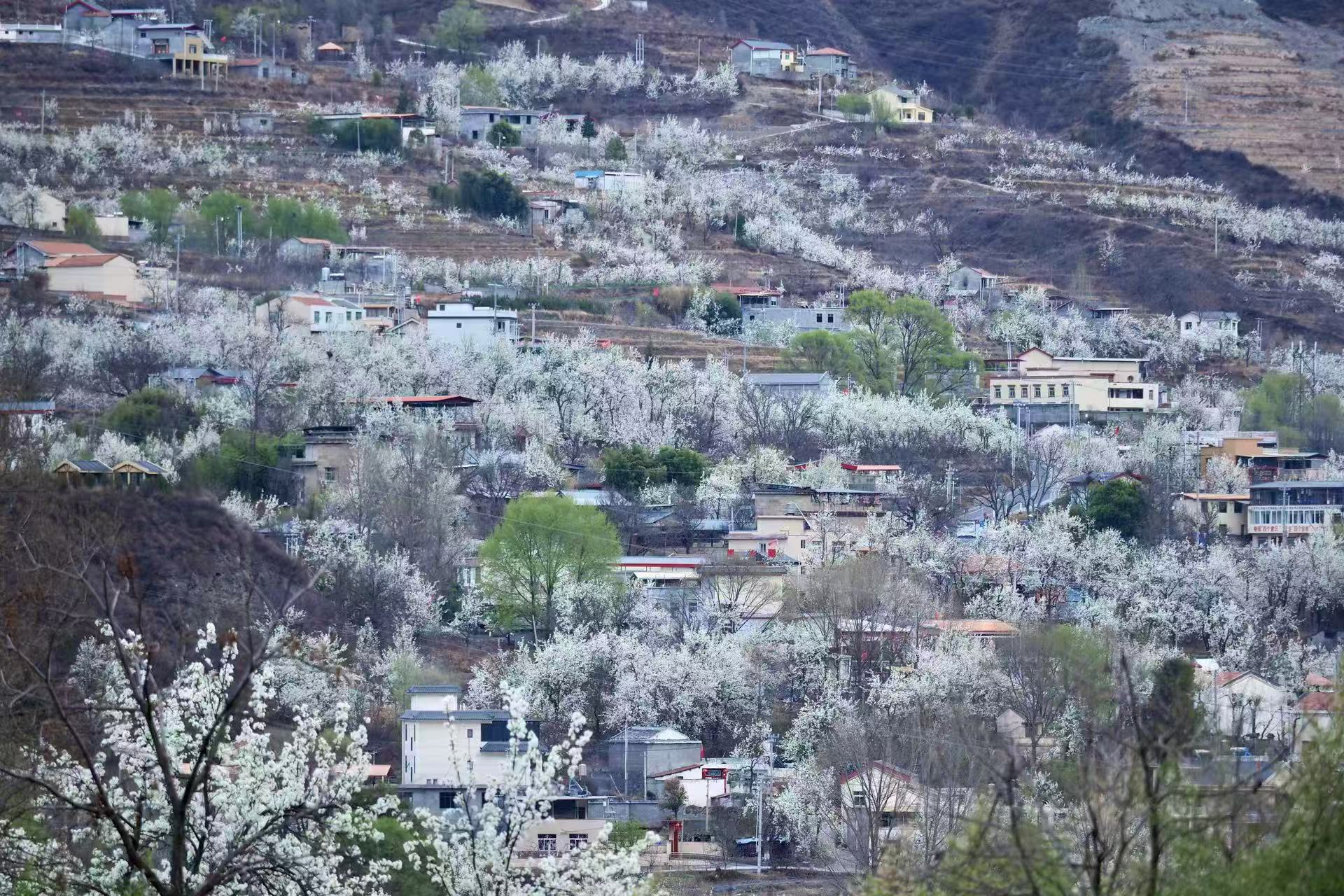 1773884341532698.jpg 微信图片_20260319093739.jpg