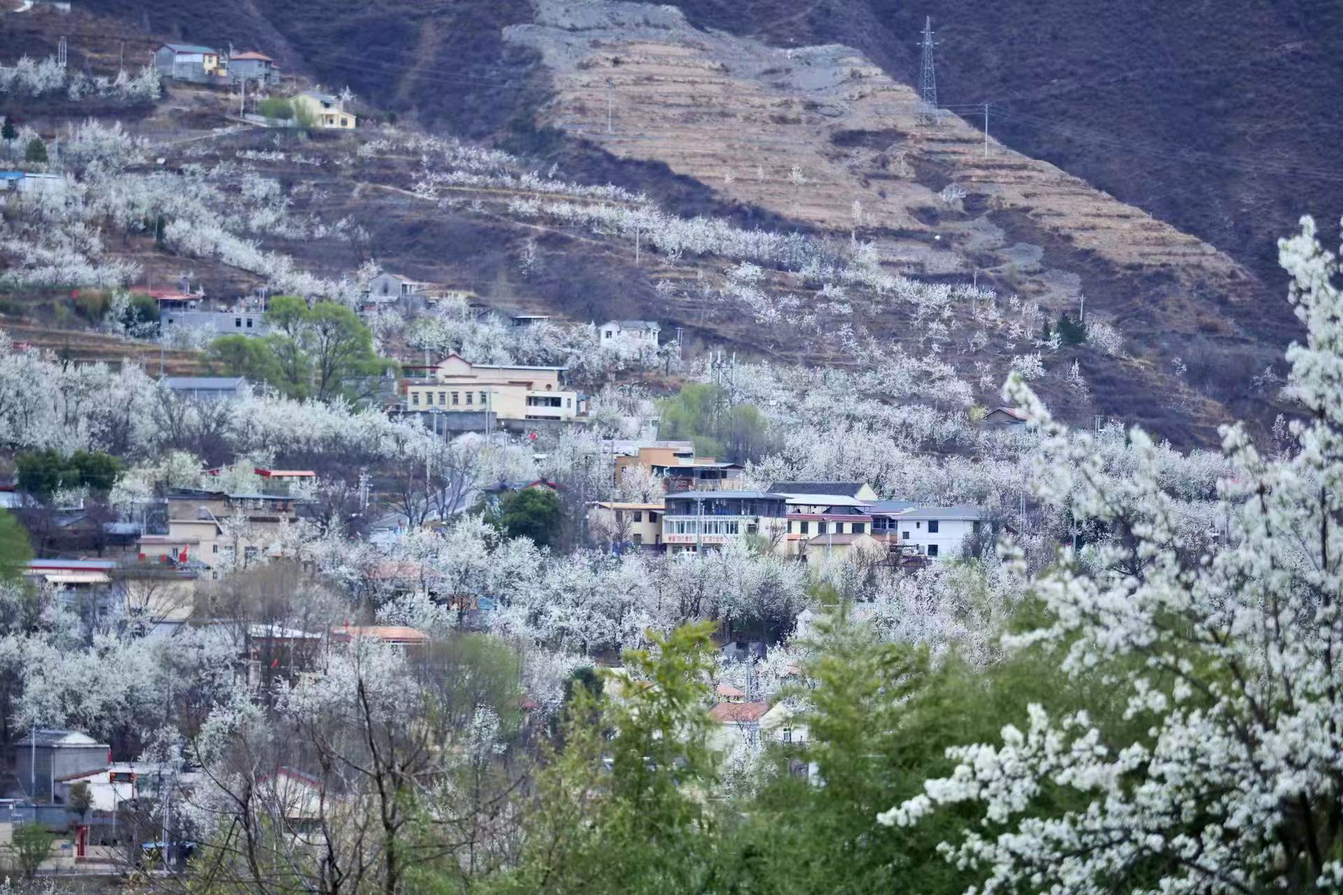 1773884344595786.jpg 微信图片_20260319093736.jpg