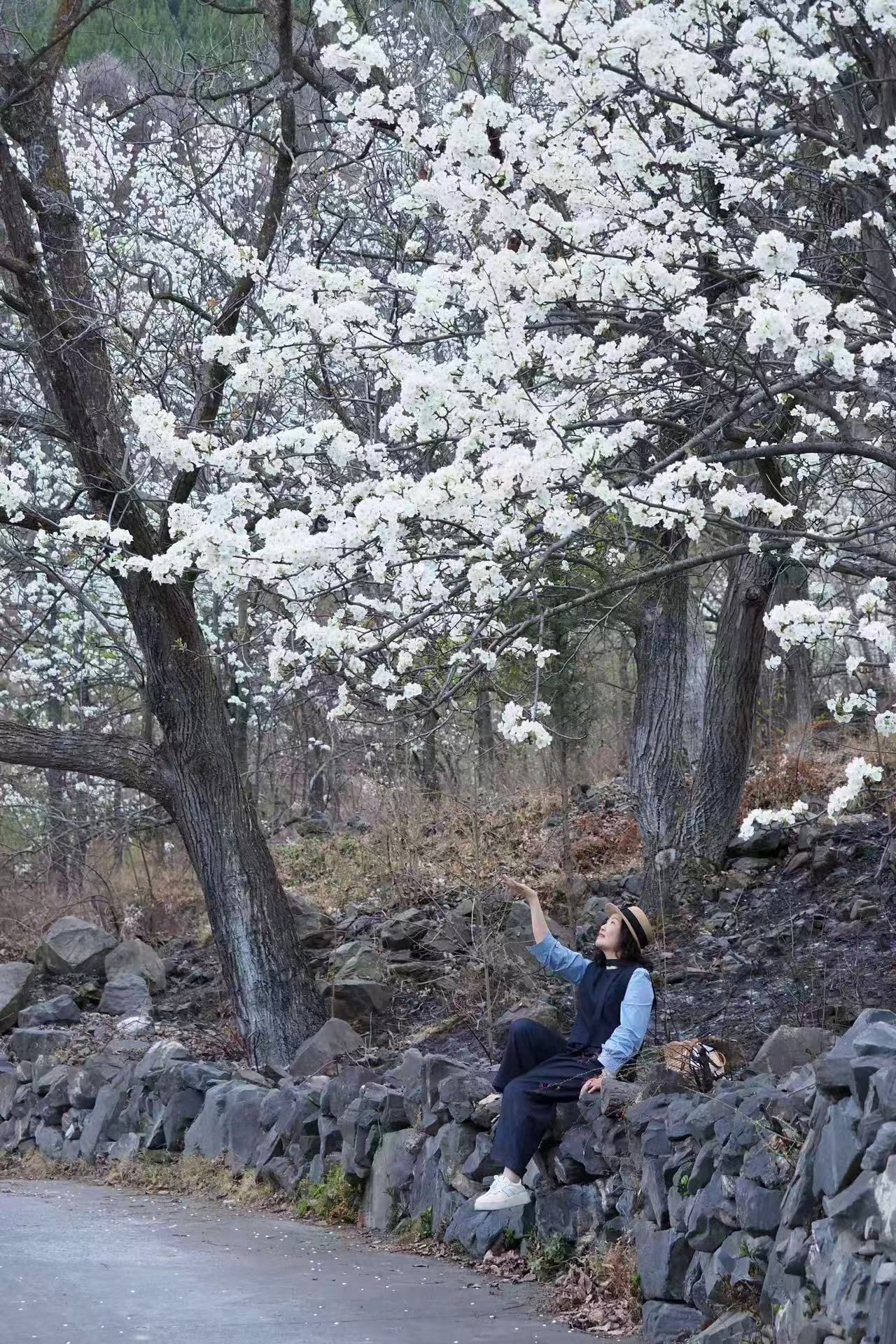 1773884347330750.jpg 微信图片_20260319093742.jpg