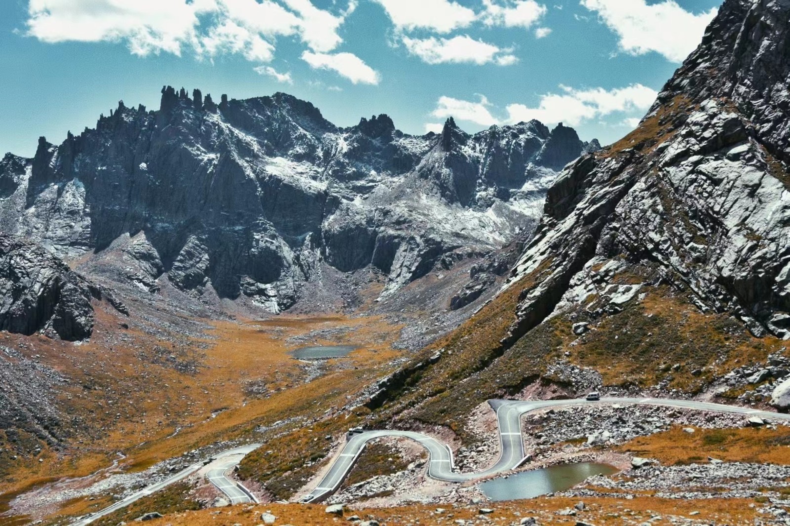 1773989161419411.jpg 1632298981962026.jpg