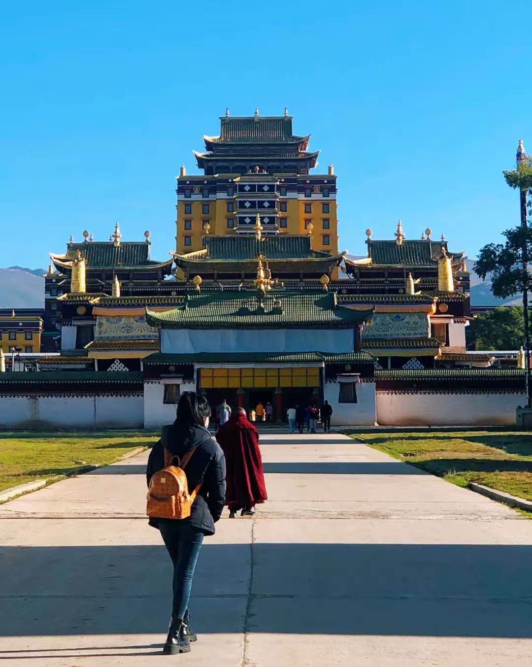 1773990537543429.jpg 2e7fada50b1c577122f790833d319ce1.jpg