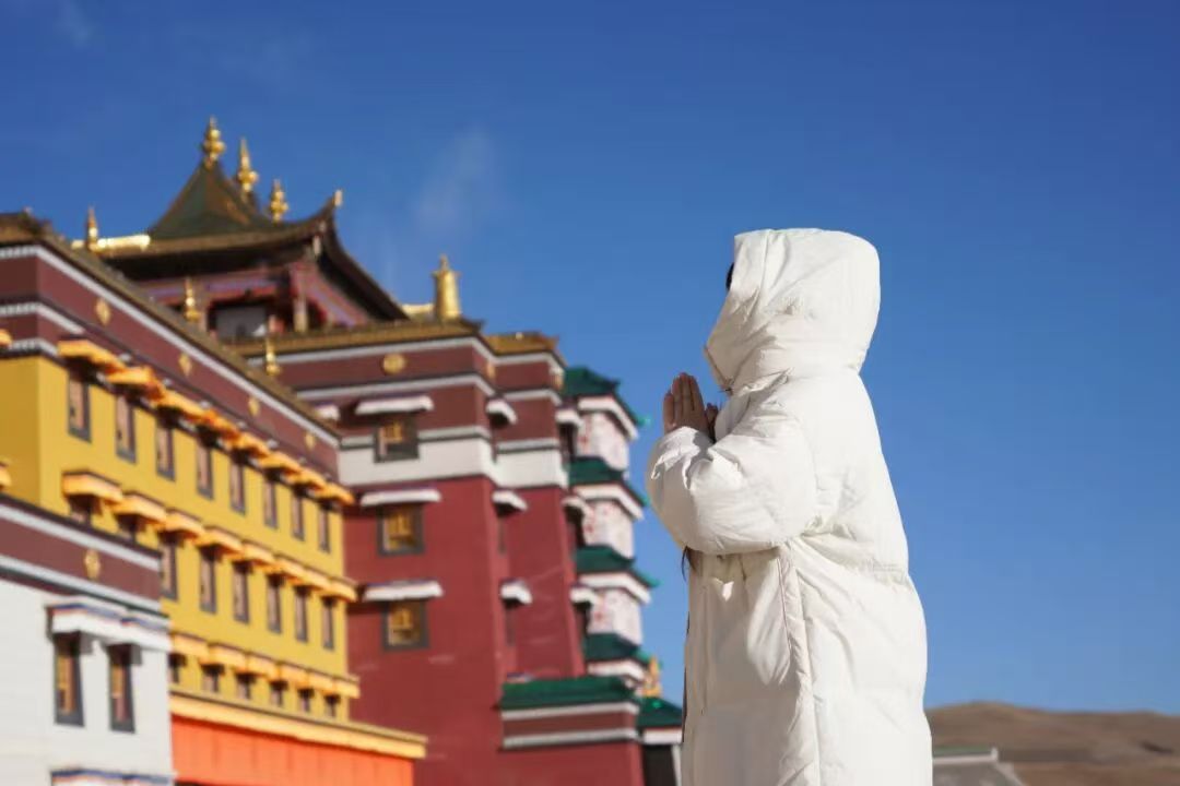 1773990555488909.jpg 1d488ba0dc2459e767e308f59bd32e05.jpg