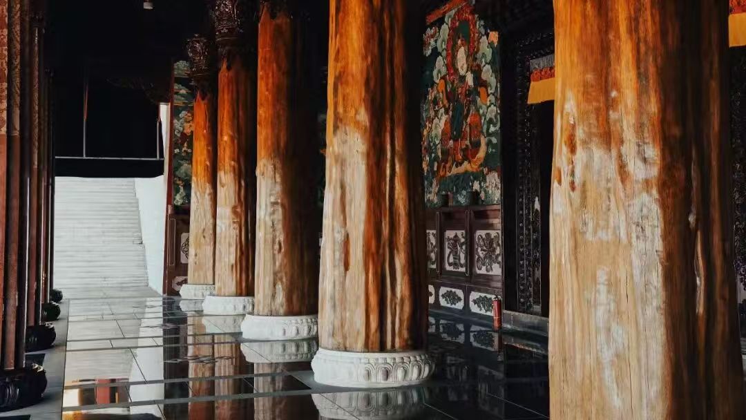 1773990569674214.jpg 015ccf96ad549ad5da8bd76f876222b6.jpg