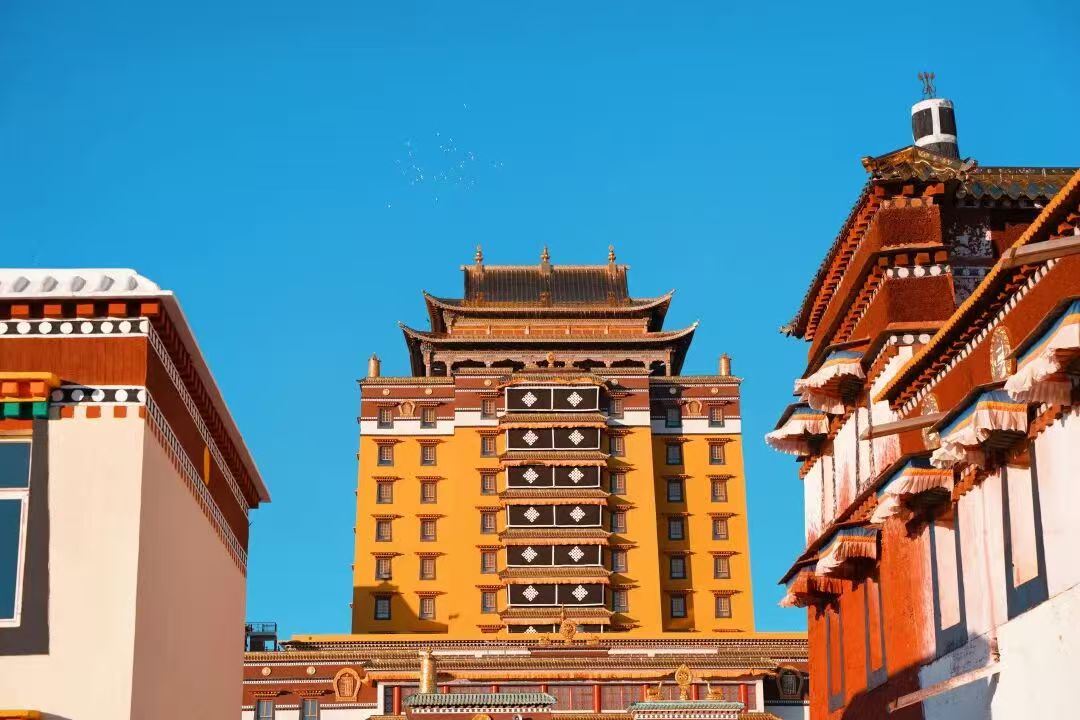 1773990591801709.jpg de41717d2f40b704b1d91547f8e561a4.jpg