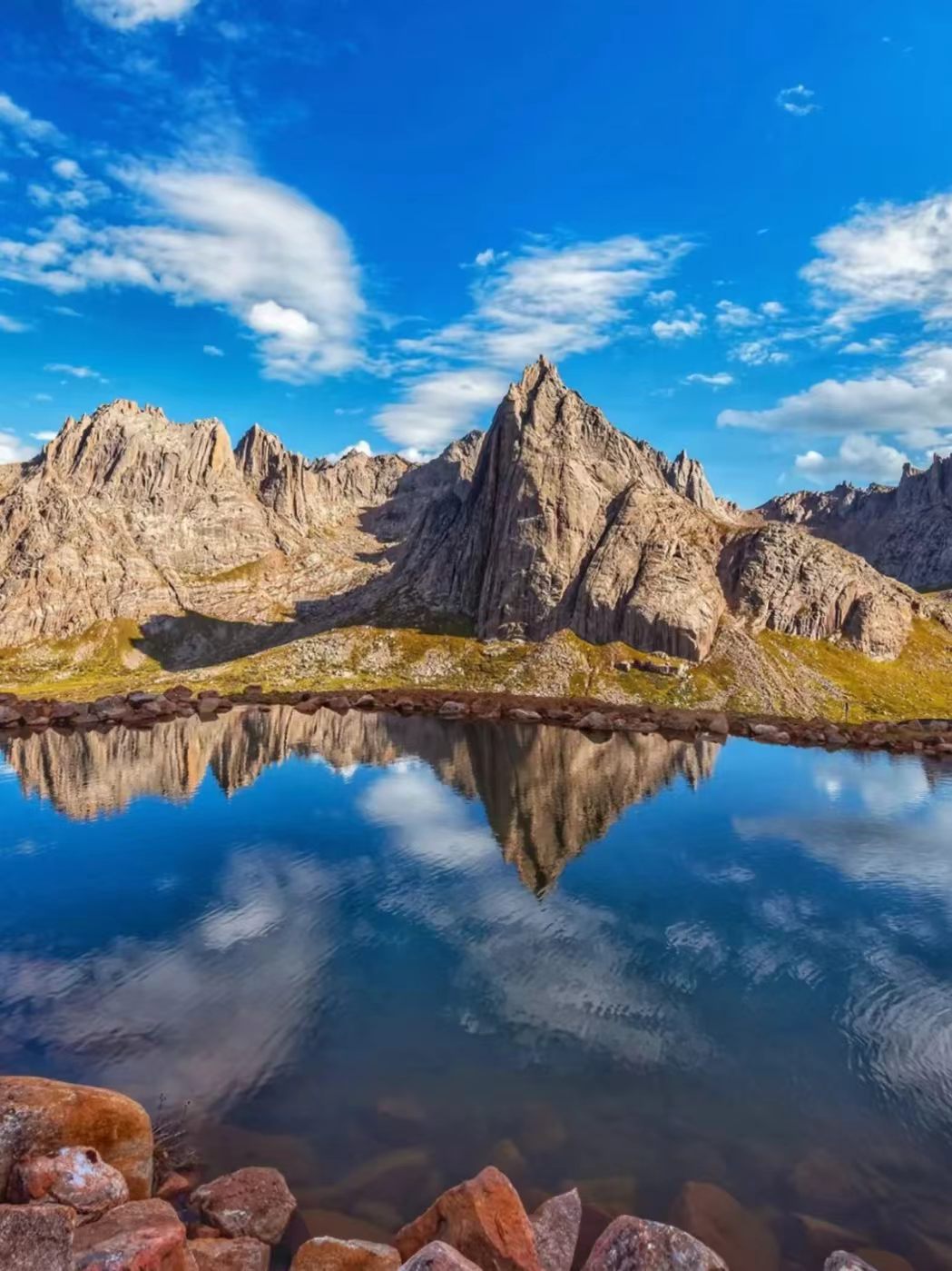 1773990920809151.jpg fd1121c9ff124a954763d974f6c7596c.jpg