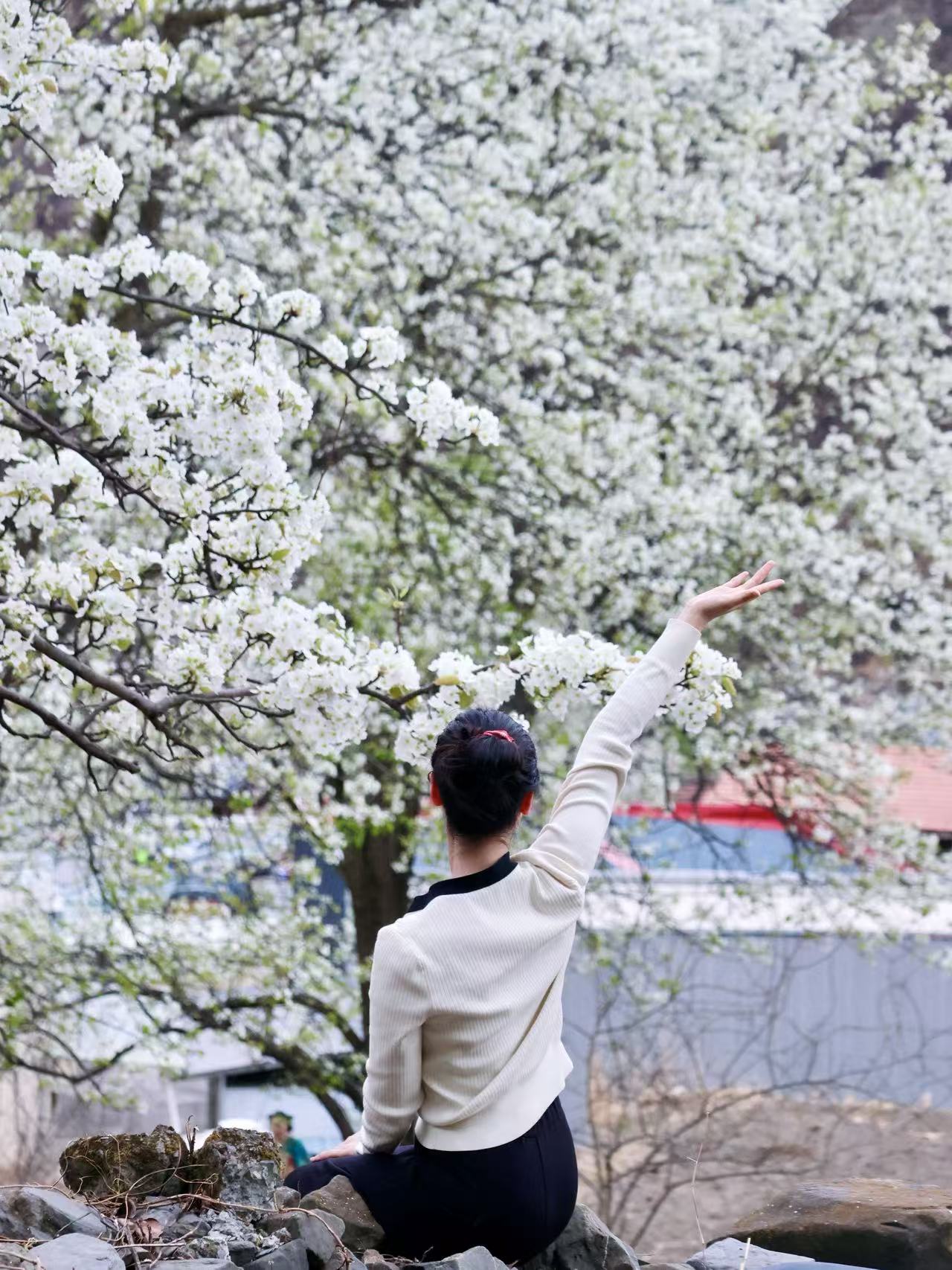 1774230358741391.jpg d689c1be754c8ca5a755633a1291f303.jpg