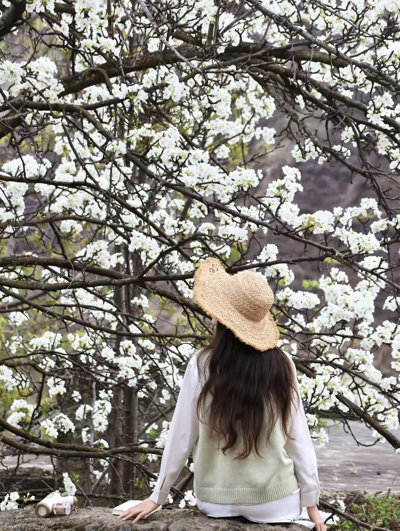 1774230377165806.jpg b6ab74ef9a2eeca148cdf265fc667666.jpg