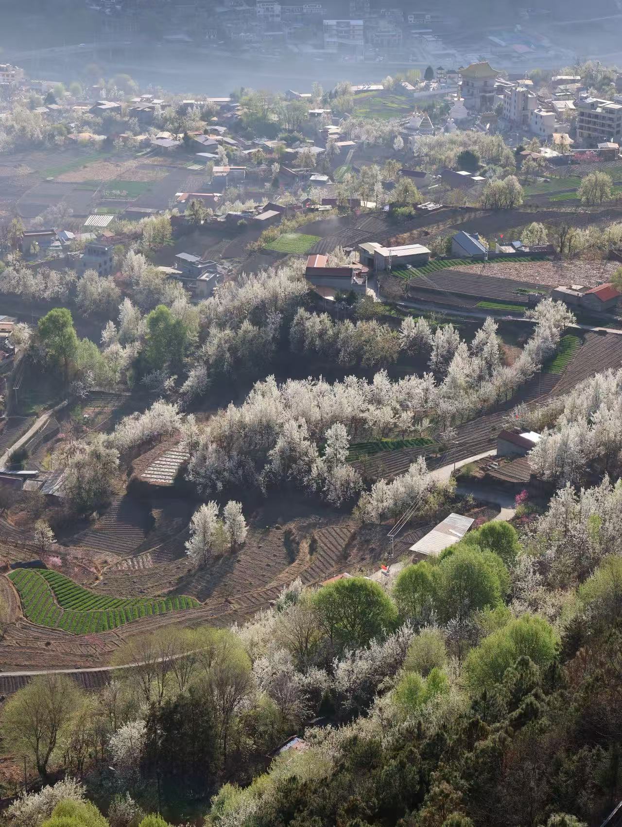 1774230438679066.jpg 95f100c0e9052407340672ebe1c1eeb8.jpg