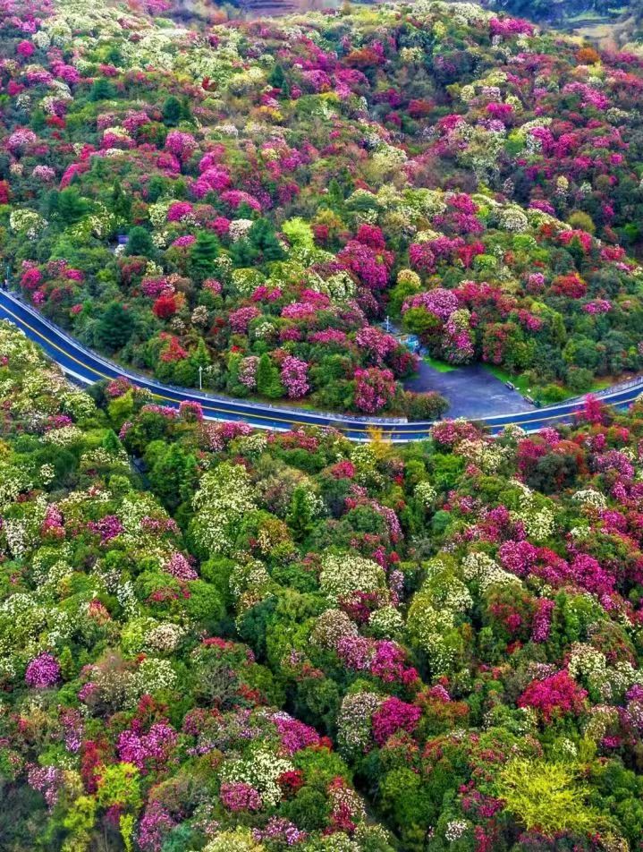 1774248929420208.jpg d640cc30efd03ff009b13dce18782877.jpg