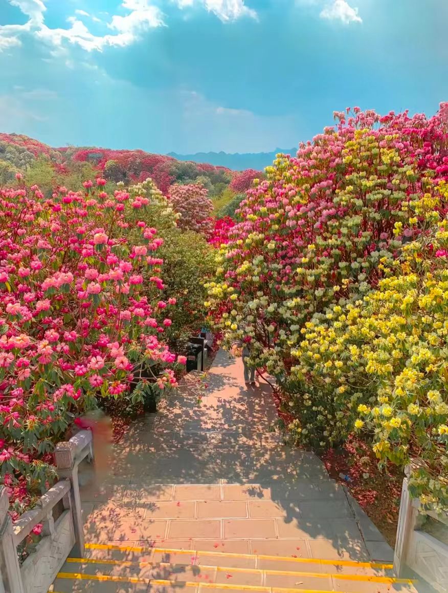 1774248951856879.jpg 466bc811011335a1b9bead65d51cf14e.jpg