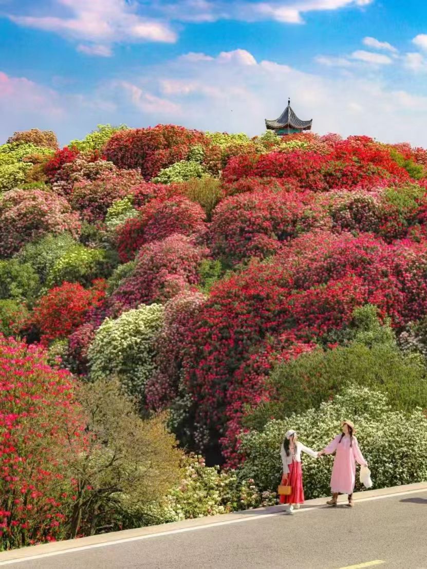 1774248961207035.jpg 03600ad17ec07a789ea1e69643dc5e45.jpg