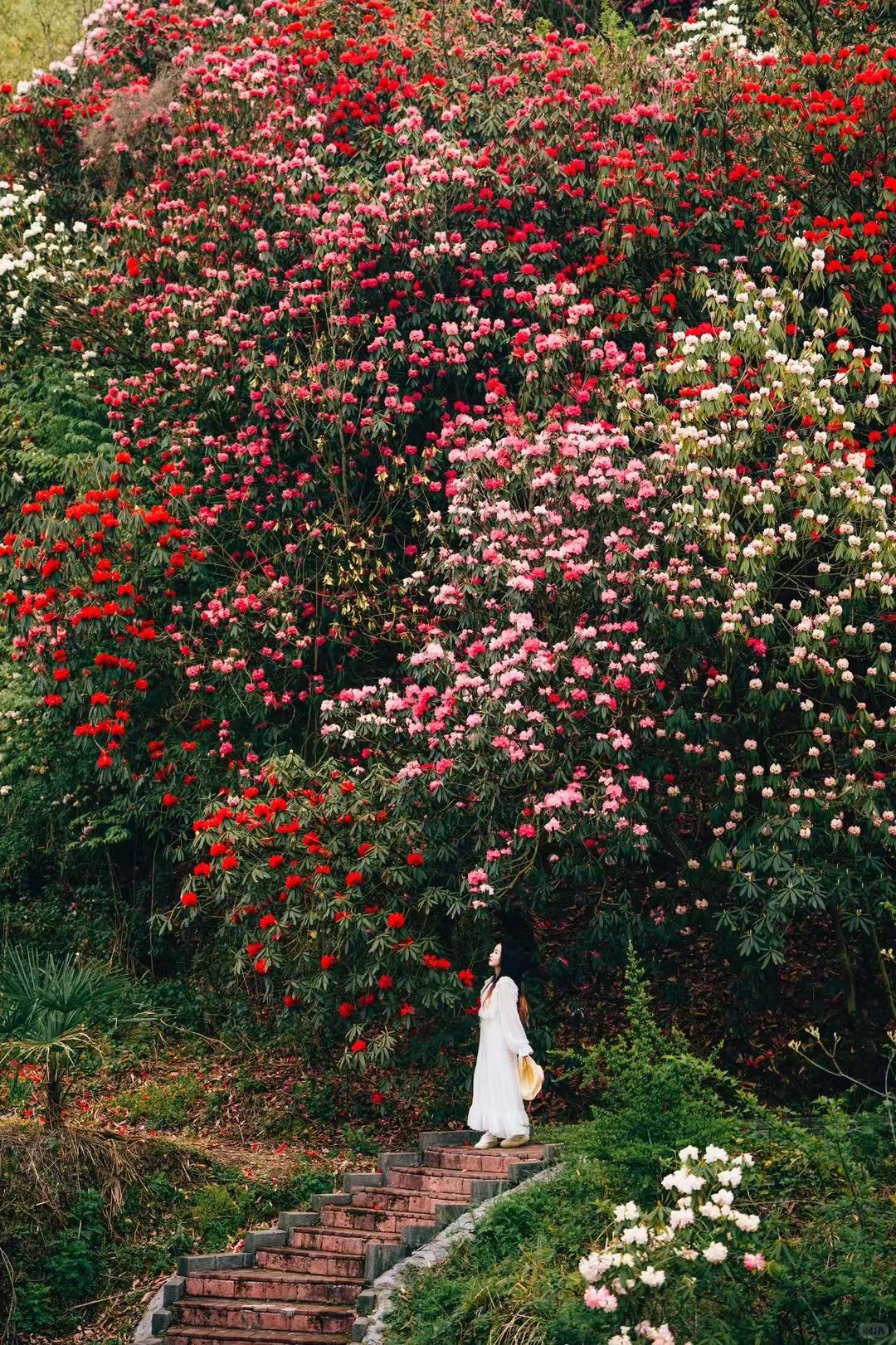 1774248971496694.jpg ccb5201c3d8e5f6bdef89c5901b08280.jpg