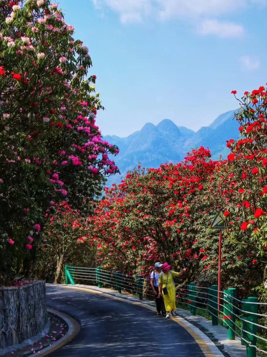 1774248986939847.jpg e43ad88af6ea2589c57fc90576039bba.jpg