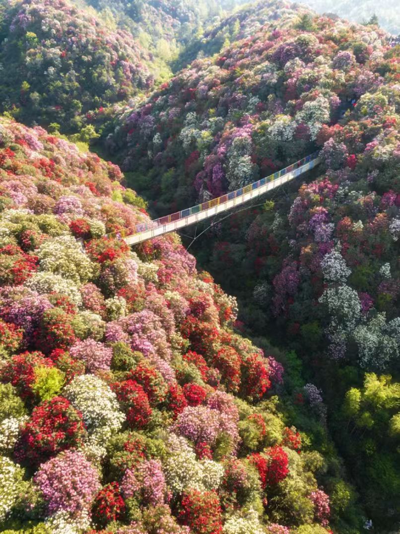 1774248998292816.jpg acc4bb53ab02b1cd87eccd11d44cd846.jpg