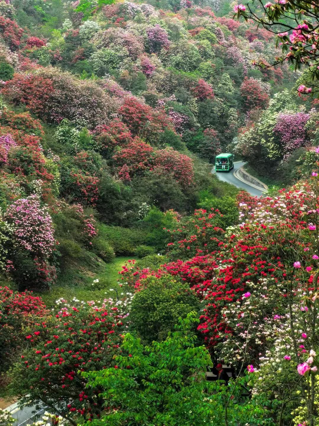 1774249019949053.jpg f115979320705d1ae24a9025a5d89814.jpg